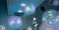 Adipose 3 